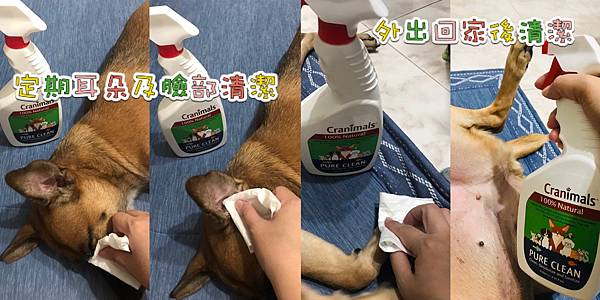 Pure Clean 使用組圖.jpg Pure Clean 使用組圖.jpg