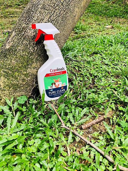 Pure Clean Bottle withgrass.jpg Pure Clean Bottle withgrass.jpg