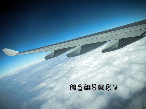 機場 (19).JPG 機場 (19).JPG