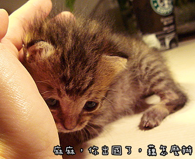 DSC07668s.jpg DSC07668s.jpg