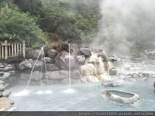 IMG20190216120147.jpg IMG20190216120147.jpg