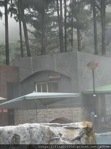 IMG20190216124901.jpg IMG20190216124901.jpg