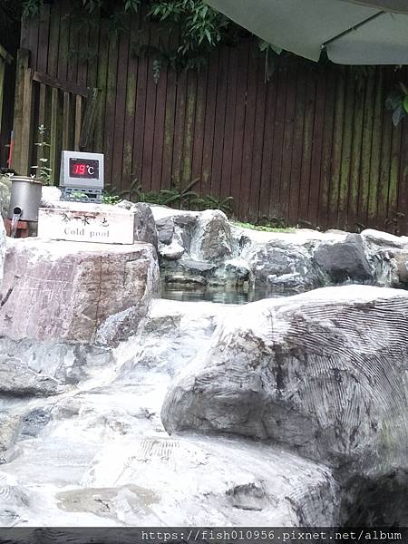 IMG20190216131032.jpg IMG20190216131032.jpg