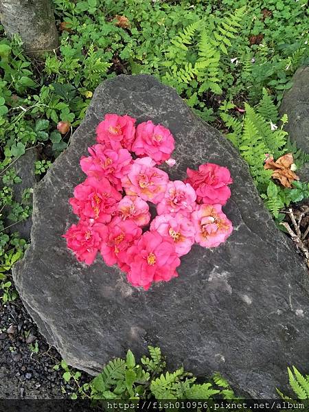 IMG20190216133647.jpg IMG20190216133647.jpg