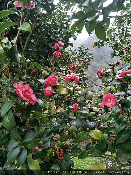 IMG20190216133653.jpg IMG20190216133653.jpg