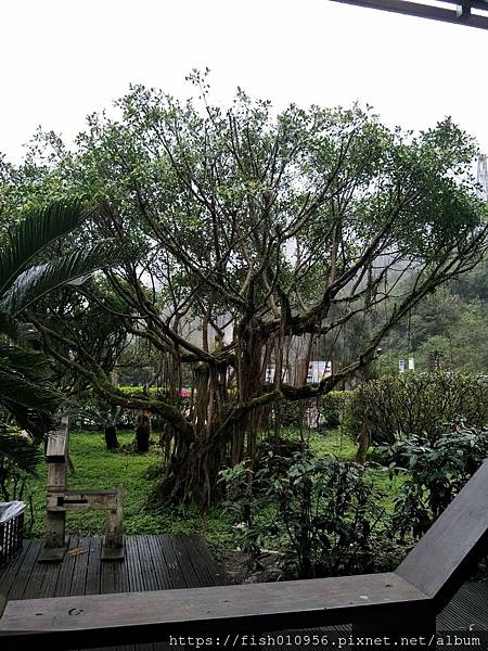 IMG20190216160459.jpg IMG20190216160459.jpg