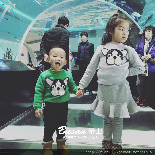 Busan-D4-25.JPG Busan-D4-25.JPG