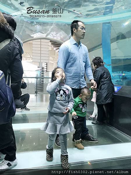 Busan-D4-27.JPG Busan-D4-27.JPG