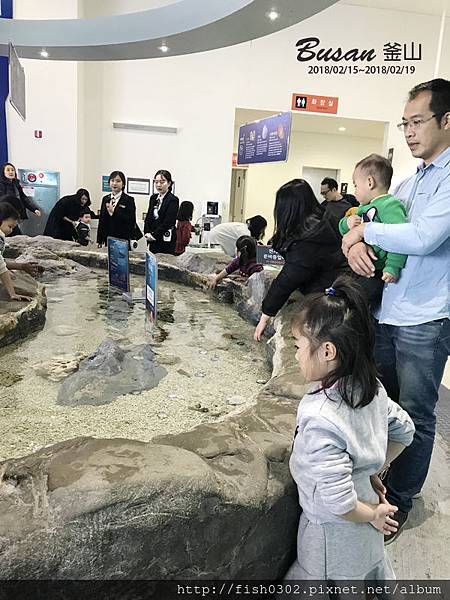 Busan-D4-26.JPG Busan-D4-26.JPG