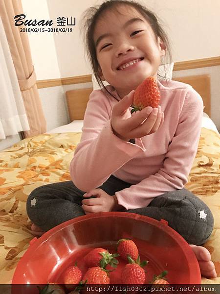 Busan-D4-41.JPG Busan-D4-41.JPG