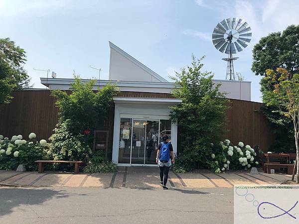 《趴趴走日本-北海道》屋 音 へよこそ+向日葵三 《趴趴走日本-北海道》屋 音 へよこそ+向日葵三