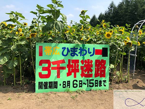 《趴趴走日本-北海道》屋 音 へよこそ+向日葵三 《趴趴走日本-北海道》屋 音 へよこそ+向日葵三