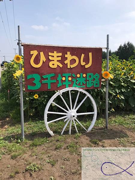 《趴趴走‧日本-北海道》滿壽屋 麥音 へよこそ＋帶廣向日葵三