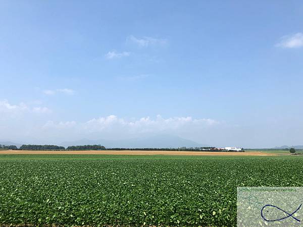 《趴趴走日本-北海道》屋 音 へよこそ+向日葵三 《趴趴走日本-北海道》屋 音 へよこそ+向日葵三