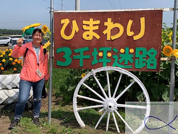 《趴趴走‧日本-北海道》滿壽屋 麥音 へよこそ＋帶廣向日葵三