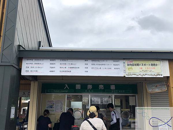 batch_IMG_6219