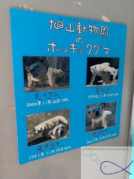 batch_IMG_0660