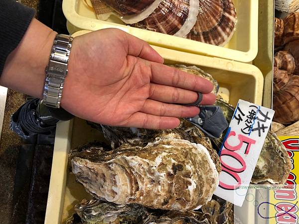 《趴趴走日本-北海道》函朝市研干市+函+スプか 《趴趴走日本-北海道》函朝市研干市+函+スプか