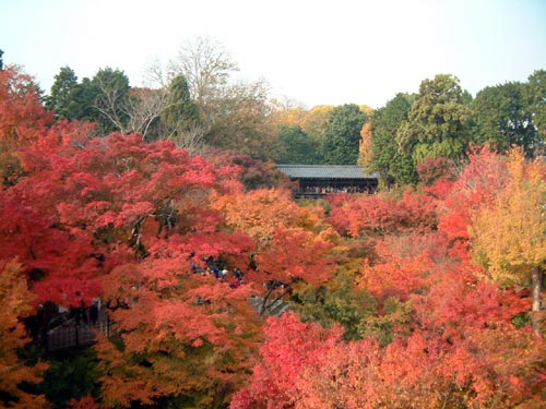 東福寺通天橋