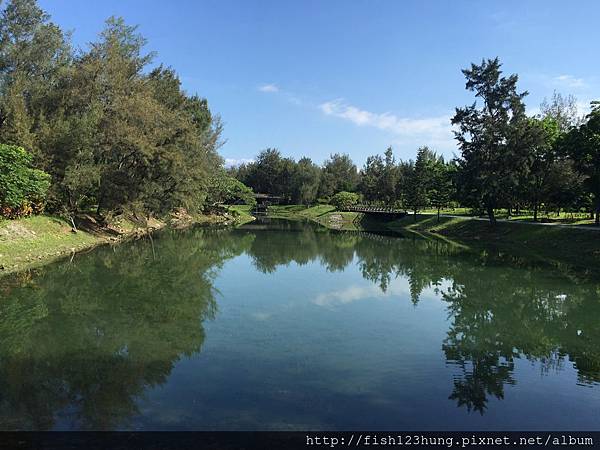 image.jpeg image.jpeg