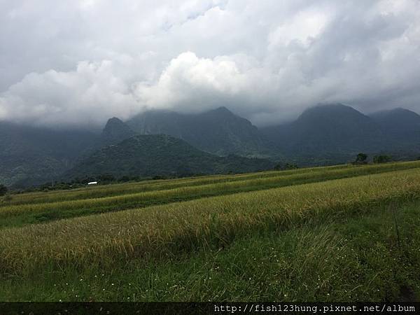 image.jpeg image.jpeg