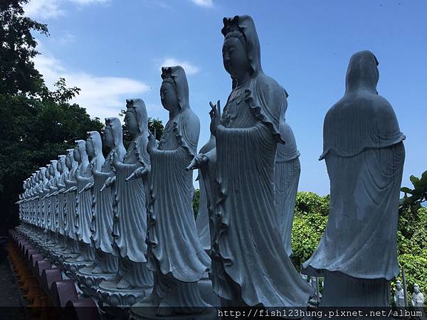 image.jpeg image.jpeg