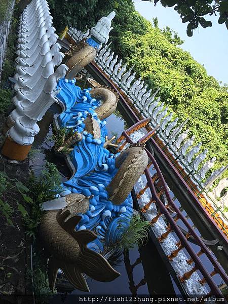 image.jpeg image.jpeg