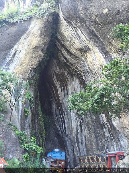 image.jpeg image.jpeg