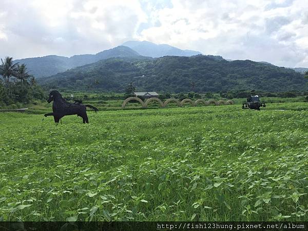 image.jpeg image.jpeg