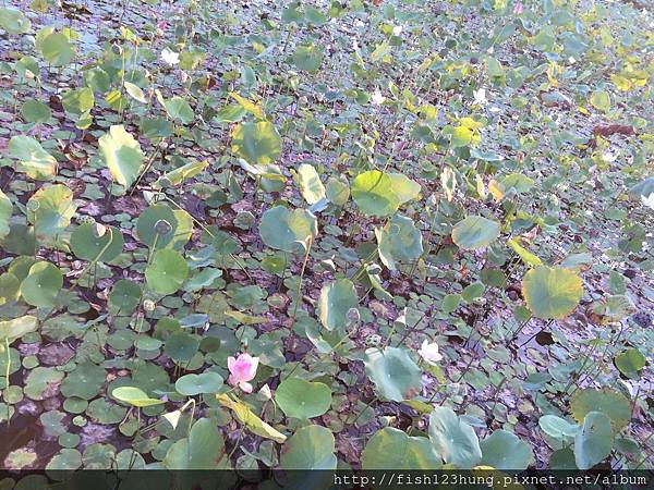 image.jpeg image.jpeg