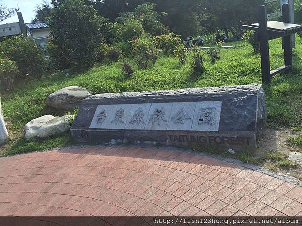 image.jpeg image.jpeg