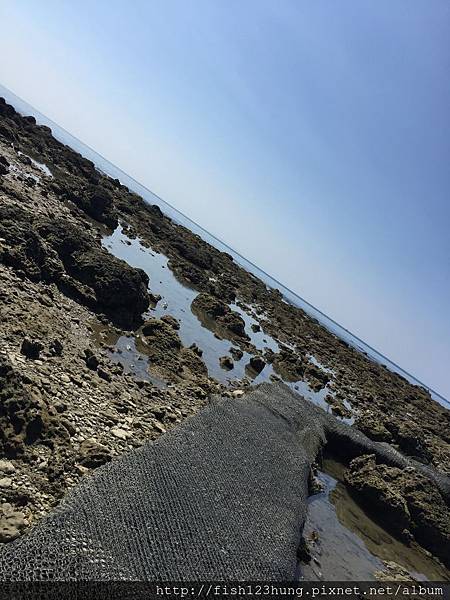 image.jpeg image.jpeg