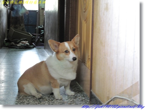 IMG_2435.JPG IMG_2435.JPG