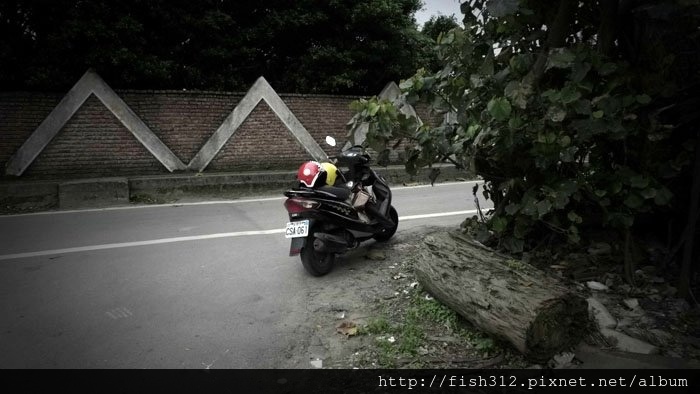 216010_209031369126148_4824723_n