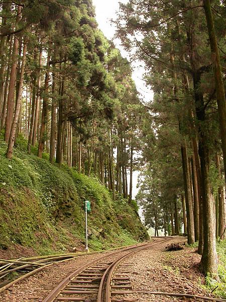 奮起湖鐵道