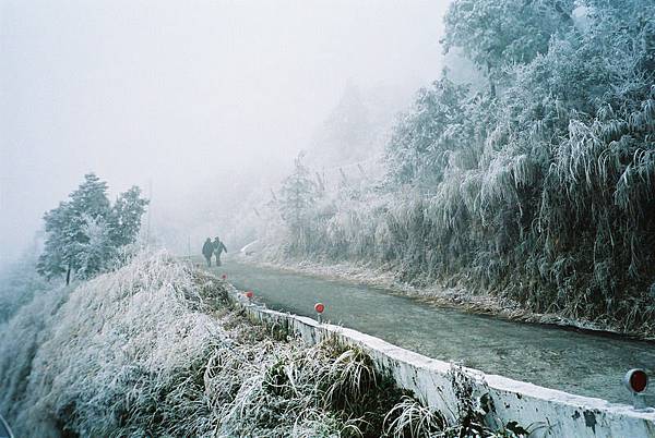 太平山~雪  (2)