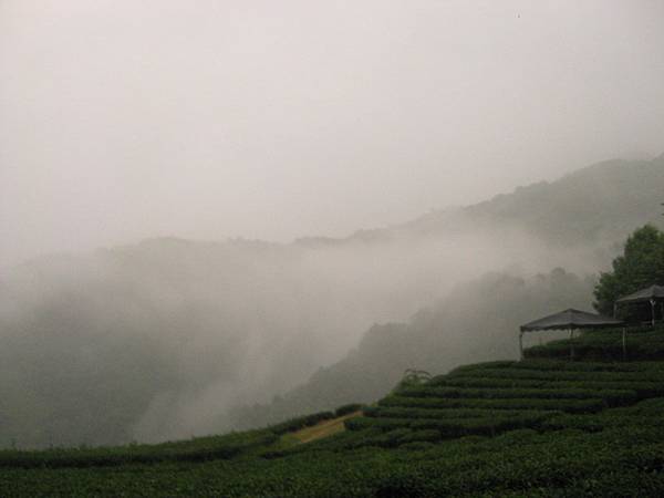 宜蘭大同～玉蘭茶園