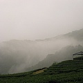 宜蘭大同～玉蘭茶園