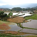 金山～兩湖村