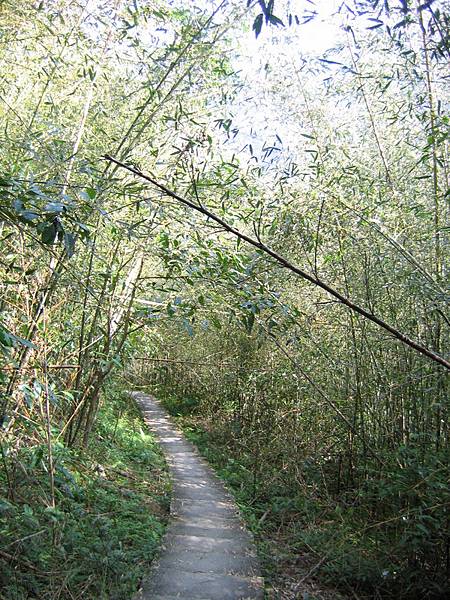 福山~卡拉莫基步道14