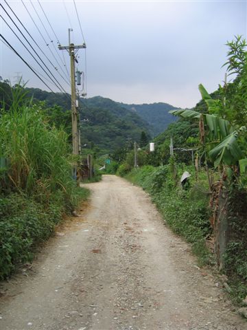 大馬路旁一條不起眼的小路