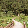 阿里山~難得的好天氣