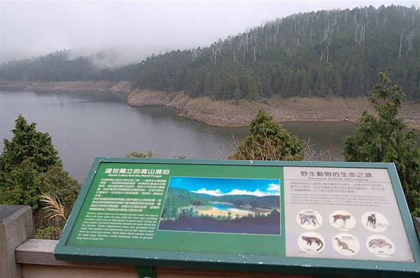 平元自然步道 (10)遺世獨立的高山湖泊.JPG