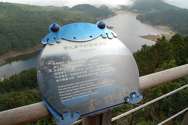 翠峰湖國家步道11 (15)~沿路可愛的青蛙解說牌.JPG
