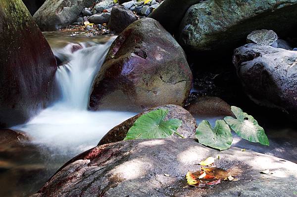 三芝~八連溪 (4).JPG