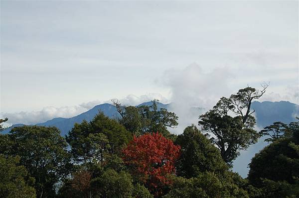 稍來山 (46)瞭望台展望.JPG