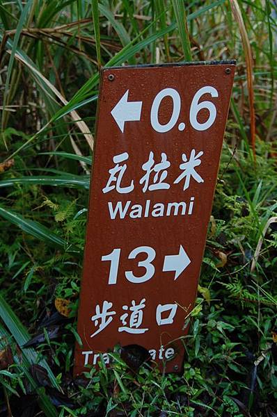 花蓮~瓦拉米步道 (68)每0.5k的路標.JPG