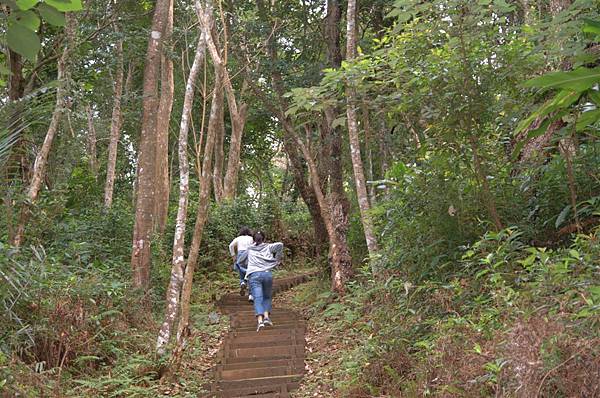 宜蘭南澳~朝陽國家步道 (10).JPG