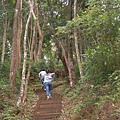 宜蘭南澳~朝陽國家步道 (10).JPG