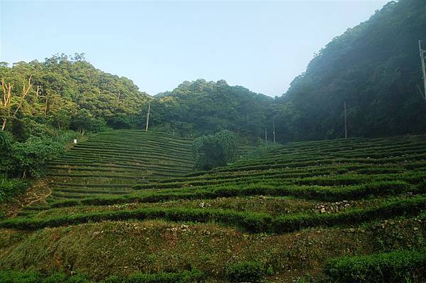 北宜路 (12)永安~茶園.JPG